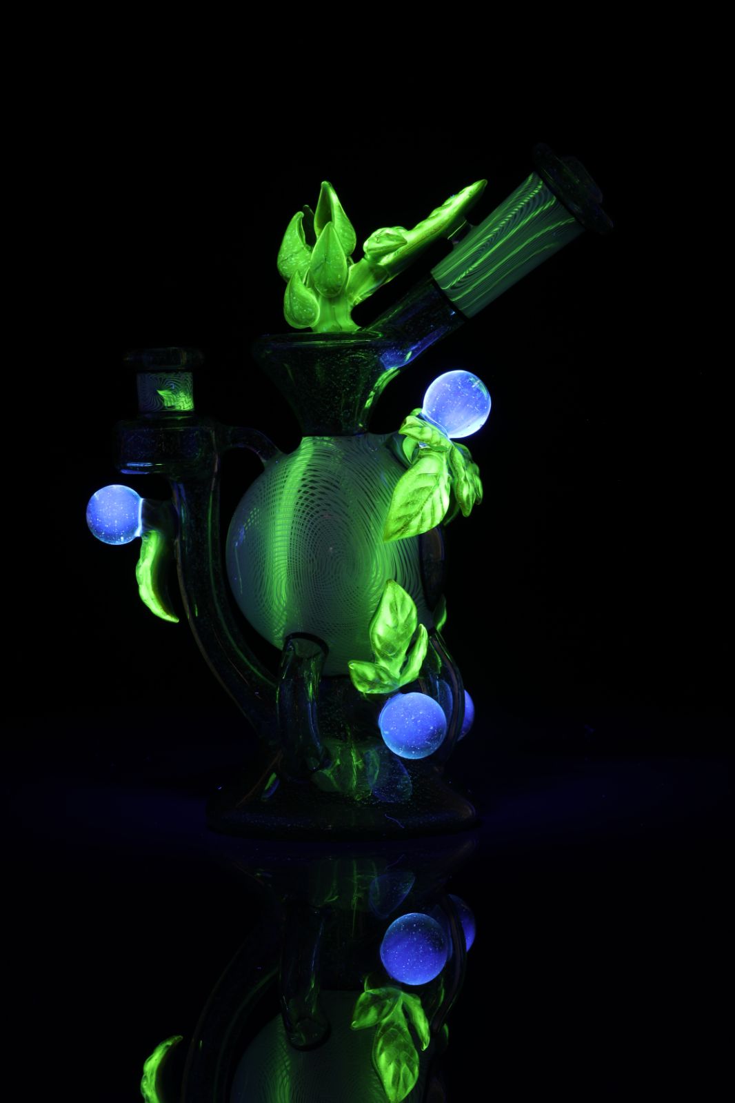 Jared’s X Mr. Gray